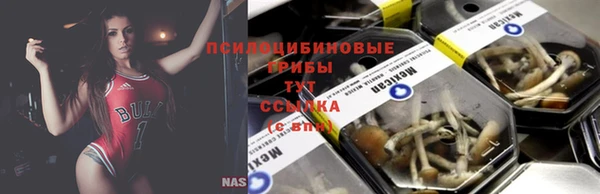 apvp Аркадак