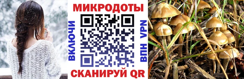 Псилоцибиновые грибы GOLDEN TEACHER  купить наркоту  MEGA онион  Белый 
